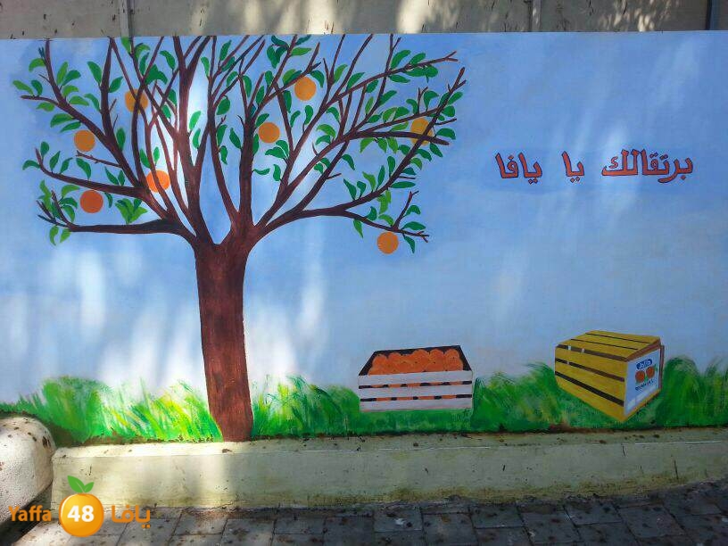 yaffa orangej (1).jpg